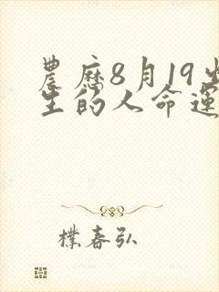 农历8月19出生的人命运如何封面