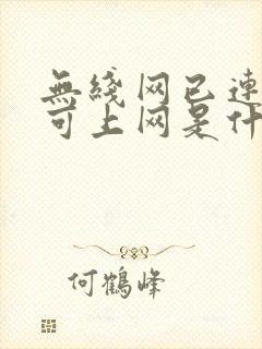 无线网已连接不可上网是什么原因