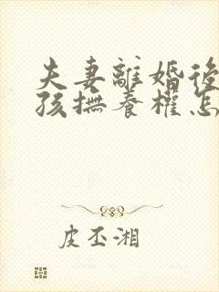 夫妻离婚后两小孩抚养权怎争取