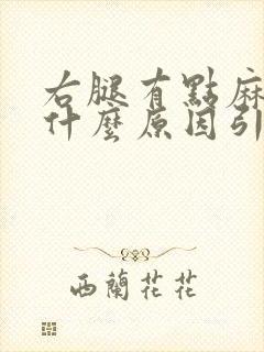 右腿有点麻木是什么原因引起的