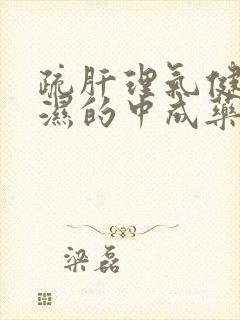 疏肝理气健脾祛湿的中成药