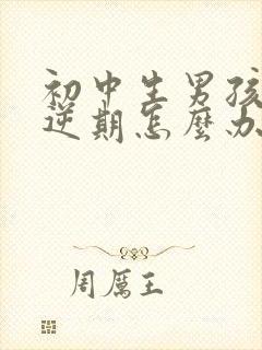 初中生男孩子叛逆期怎么办