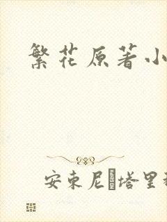 繁花原著小说