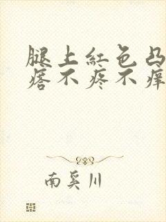 腿上红色凸起疙瘩不疼不痒