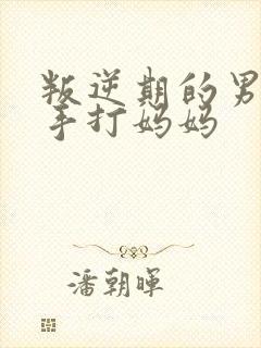 叛逆期的男孩还手打妈妈