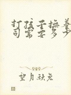 打孩子抚养权官司需要多少钱