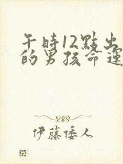 午时12点出生的男孩命运封面