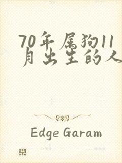 70年属狗11月出生的人,命怎么样封面