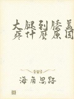 大腿到膝盖之间疼什么原因造成的