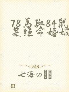 78马与84鼠是绝命婚姻封面