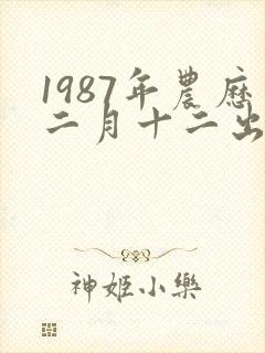 1987年农历二月十二出生的人的命运