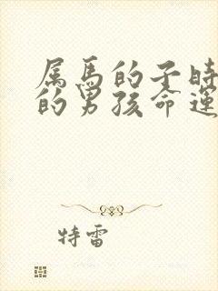 属马的子时出生的男孩命运