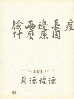 脸两边长痘痘是什么原因