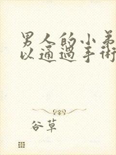 男人的小弟弟可以通过手术延长吗