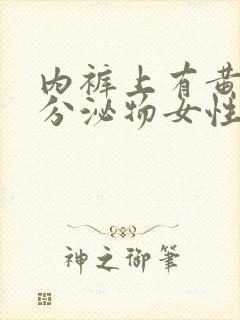 内裤上有黄色的分泌物女性封面