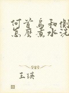 何首乌和侧柏叶怎么煮水洗头