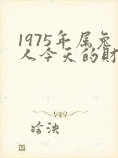 1975年属兔人今天的财运如何
