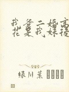 我爸二婚高冷校花是我妹后续封面