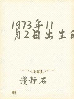 1973年11月2日出生的人命运封面
