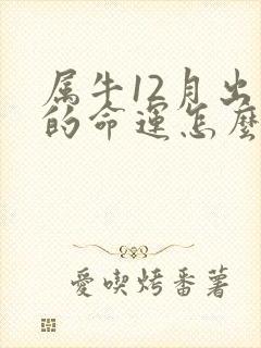 属牛12月出生的命运怎么样