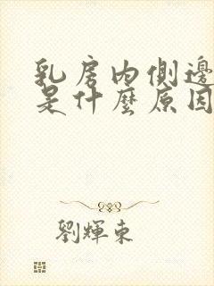 乳房内侧边缘疼是什么原因