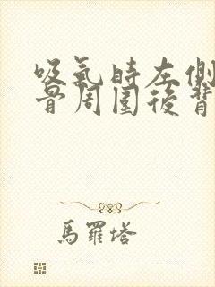 吸气时左侧肩胛骨周围后背里面疼封面