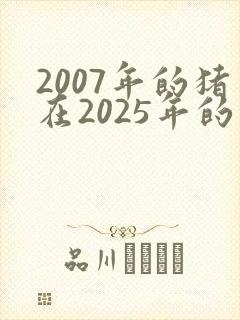 2007年的猪在2025年的运势怎么样