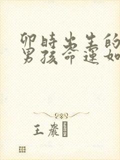 卯时出生的属龙男孩命运如何