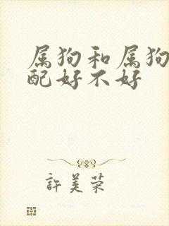 属狗和属狗的婚配好不好封面