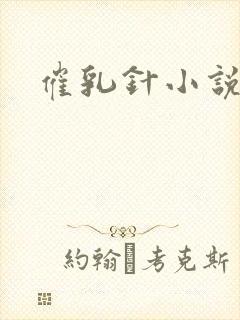 催乳针小说