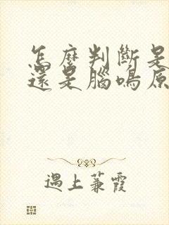 怎么判断是耳鸣还是脑鸣原因