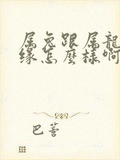 属兔跟属龙的姻缘怎么样啊封面