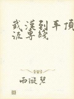 武汉到平顶山物流专线