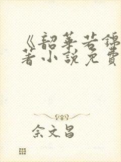 《韶华若锦》原著小说免费阅读