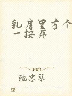 乳房里有个疙瘩一按疼