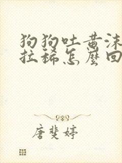 狗狗吐黄沫子还拉稀怎么回事