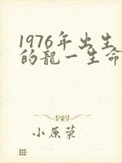 1976年出生的龙一生命运如何封面