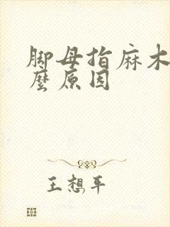 脚母指麻木是什么原因