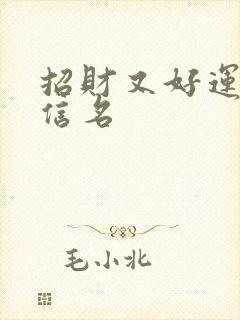 招财又好运的微信名