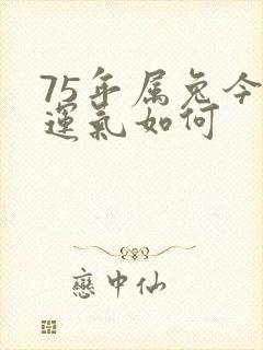 75年属兔今年运气如何