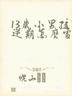 13岁小男孩叛逆期怎么处理