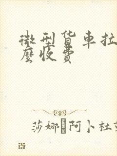 微型货车拉货怎么收费