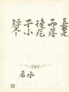 脖子后面长了两个小疙瘩是怎么回事