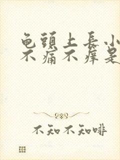 龟头上长小红点不痛不痒是怎么回事