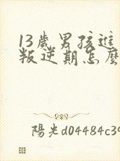 13岁男孩进入叛逆期怎么办封面