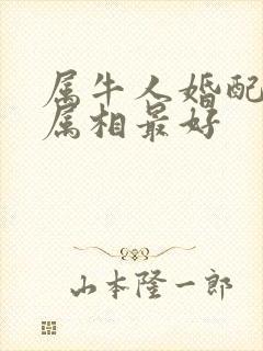 属牛人婚配什么属相最好