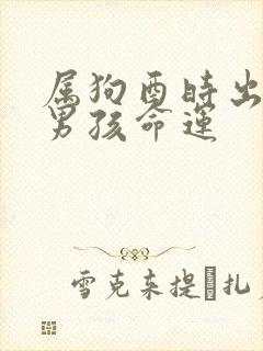 属狗酉时出生的男孩命运