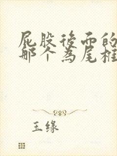 屁股后面的骨头那个为尾椎骨疼是什么原因