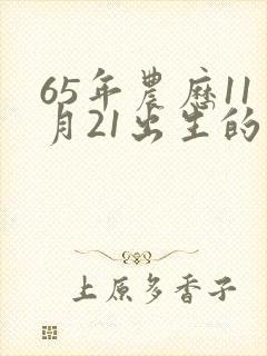 65年农历11月21出生的人命运封面