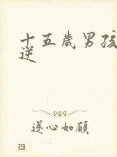 十五岁男孩子叛逆